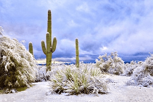 Winter in Arizona